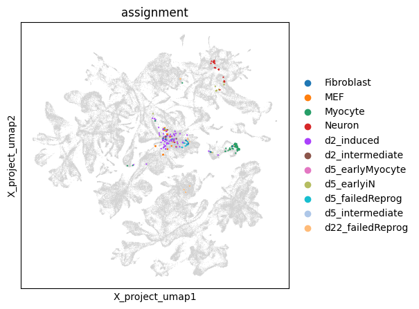 ../_images/tutorials_project_single_cell_states_onto_the_global_cell_state_manifold_19_1.png