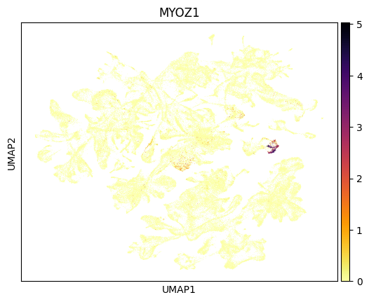 ../_images/tutorials_project_single_cell_states_onto_the_global_cell_state_manifold_23_0.png